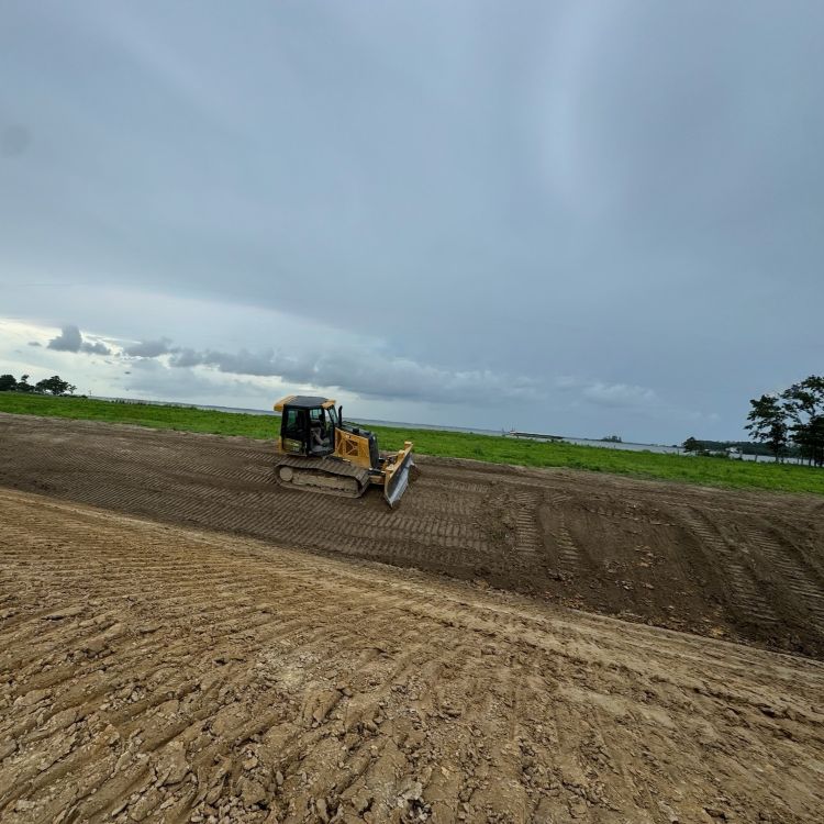 Duck Impoundment Services