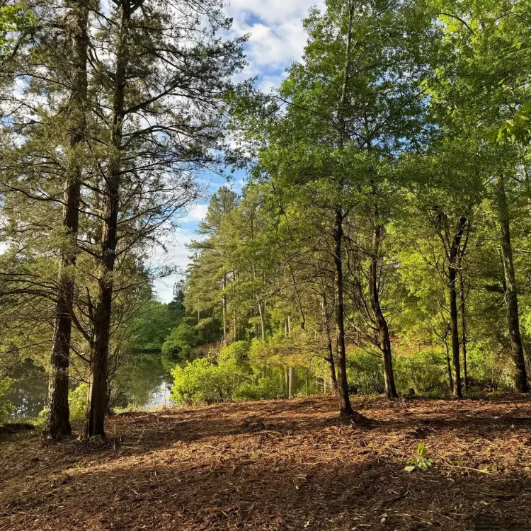 Ecological Services